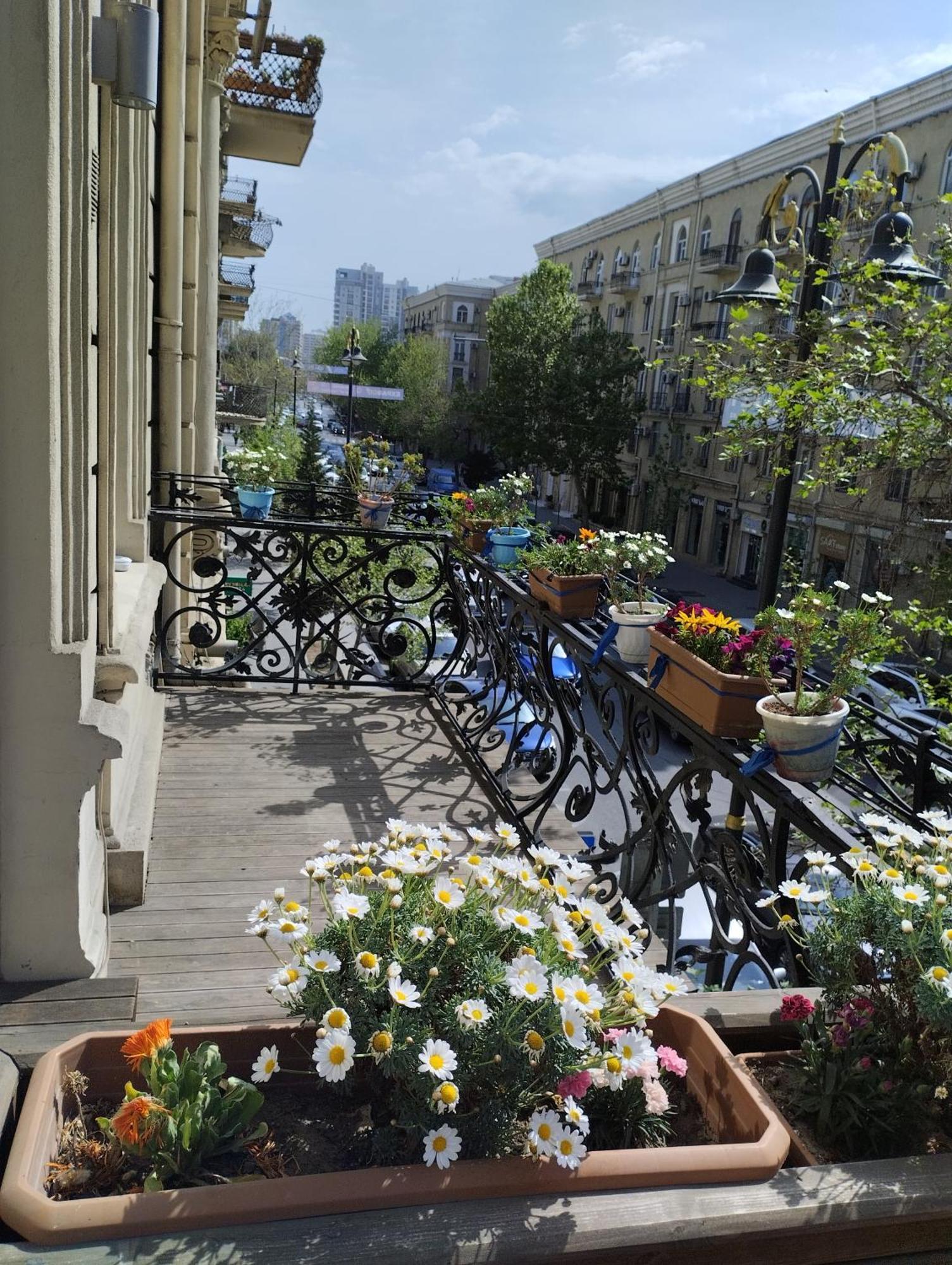 Callisto Hotel Μπακού Εξωτερικό φωτογραφία